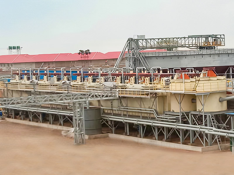 Zimbabwe Lepidolite 3000T/D ásványi feldolgozási projekt - Zhejiang Dingsen Holding Co., Ltd.